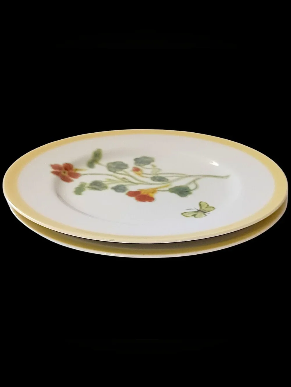 2 Williams Sonoma Flowering Herbs Salad Plates Purple Herb Flowers Nasturtium
